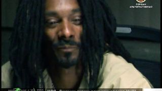 Korn - Twisted Tranzistors