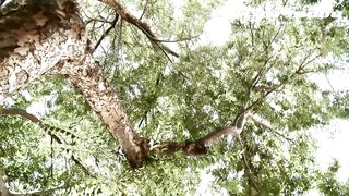 J Nitti feat. Plavka - Surrender