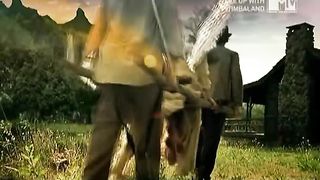 Nightwish - Amaranth