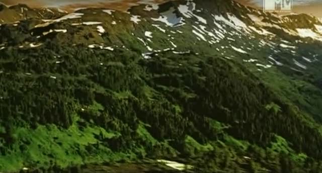 Nightwish - Amaranth