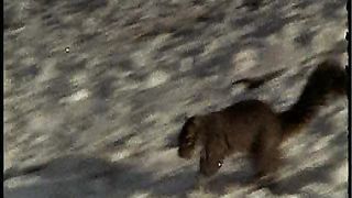 Bon Jovi - All About Loving You