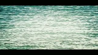 Chicane feat. Adam Young - Middle Distance Runner