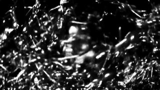 Murder Therapy - The Scourge