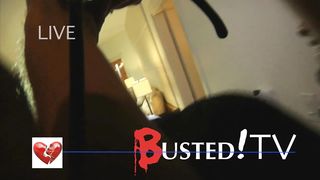 Pitbull - Hotel Room Service